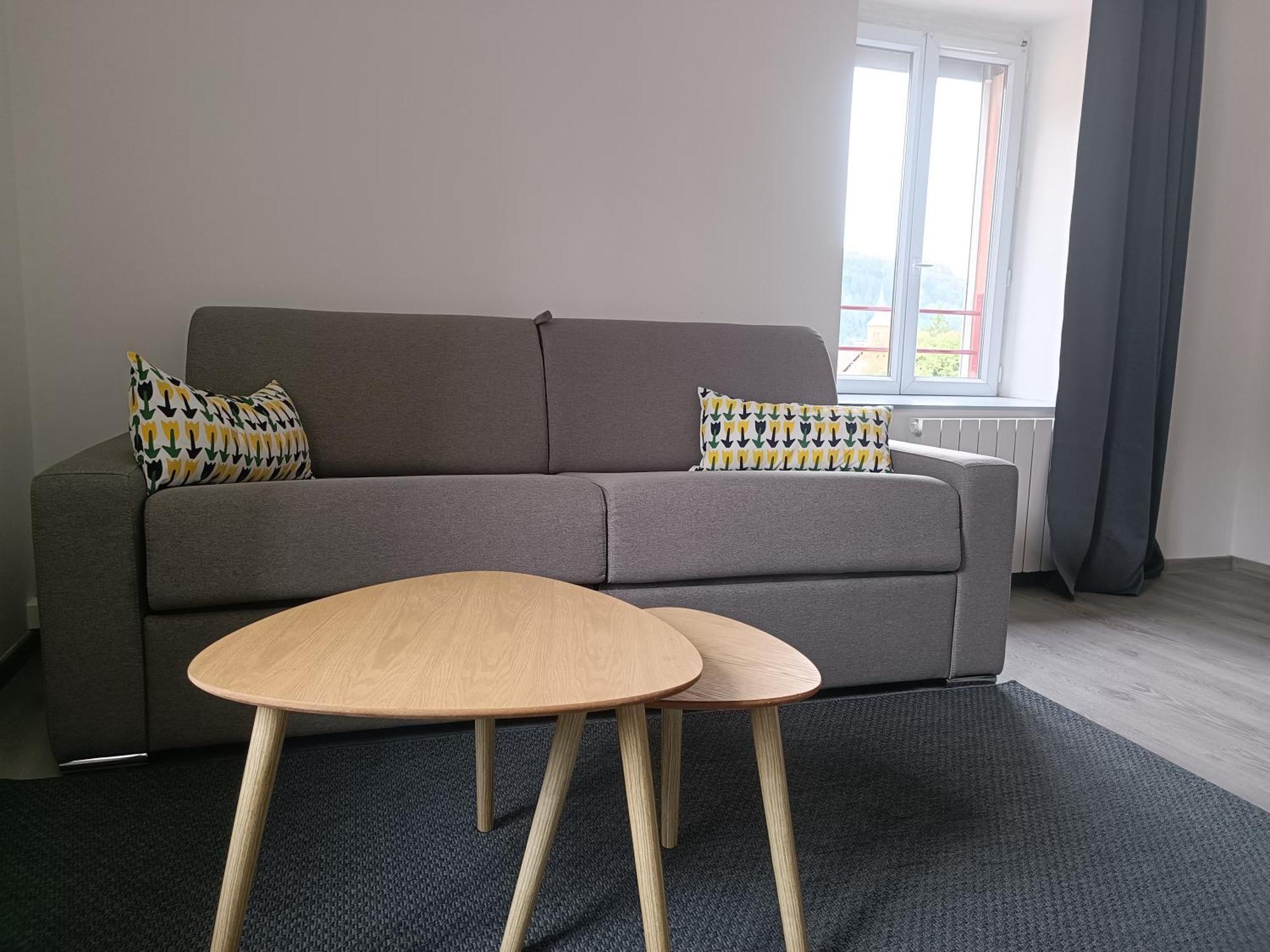 Le Petit Schaef - Proche Rocher De Dabo Appartement Buitenkant foto